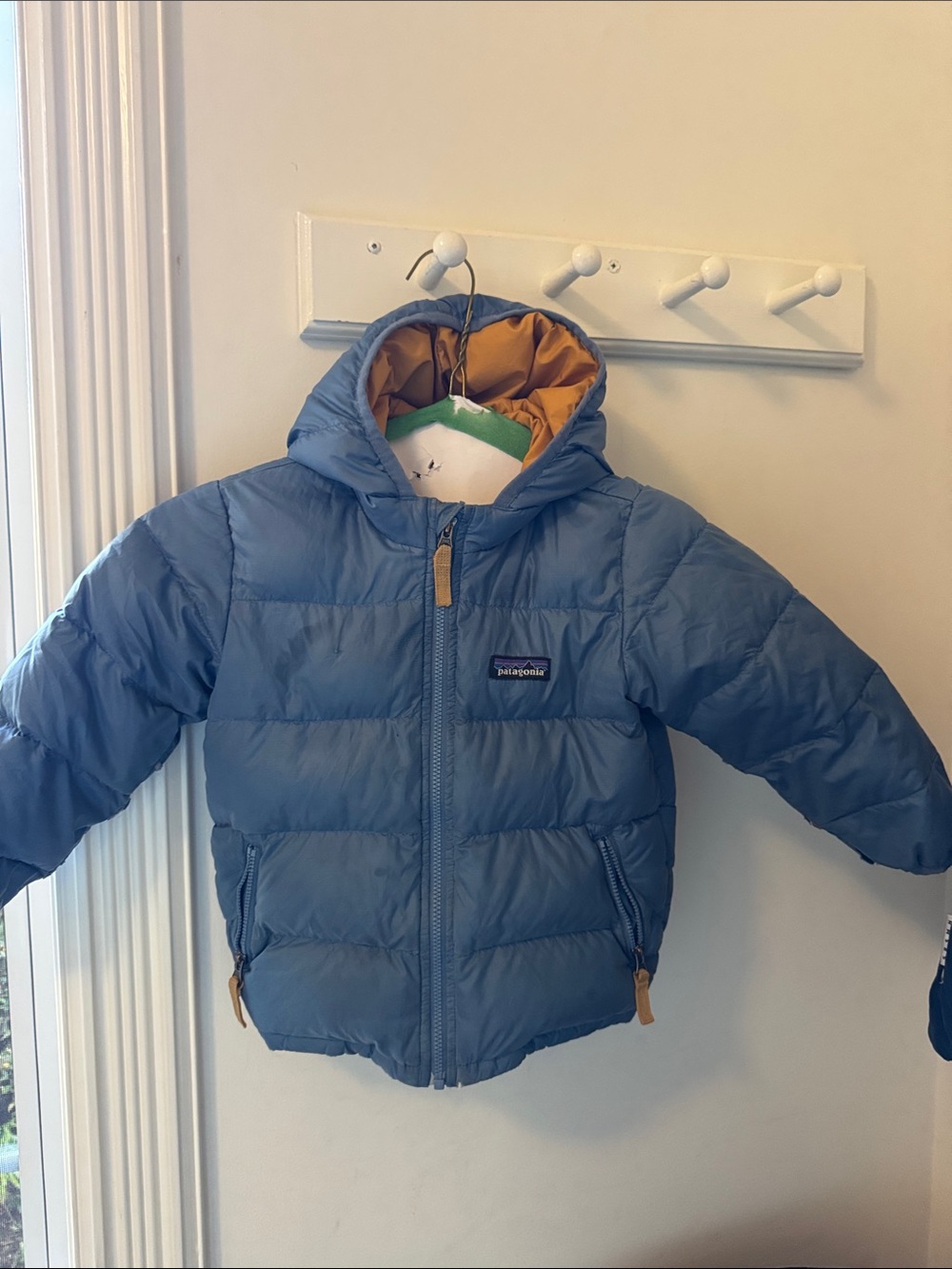 Patagonia Kids Blue Puffer Jacket with Tan Lining